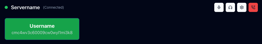 Verbindung zum VoiceChat ist hergestellt.